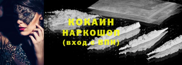 винт Пересвет