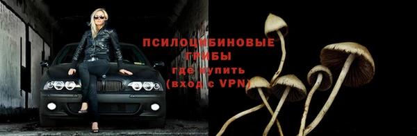 метадон Арсеньев