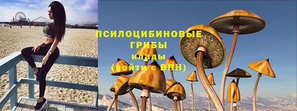 метадон Арсеньев