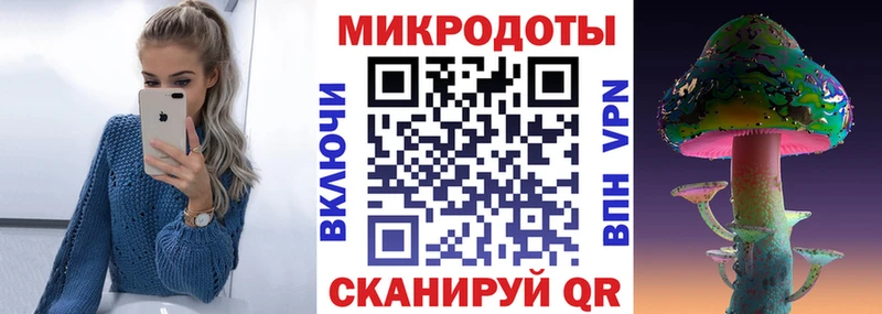 Галлюциногенные грибы Cubensis  mega   Богданович  купить  