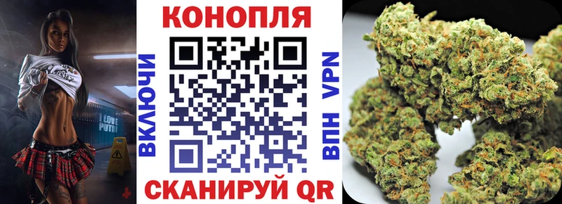 МАРИХУАНА сатива  Богданович 